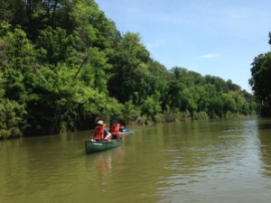 Slow and calm canoeing along the Harpeth River.