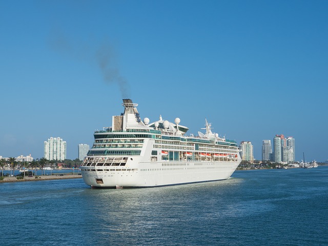 Cruise ships depart daily from the Port of Miami with sensational views of Miami Beach on departure