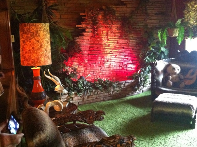 The Jungle Room complete with carpet ceilings - Photo credit Jason Dutton-Smith