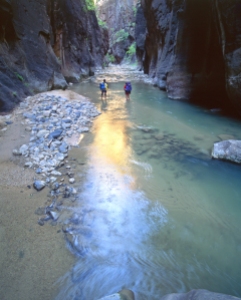 Zion National Park - Virgin River Streams