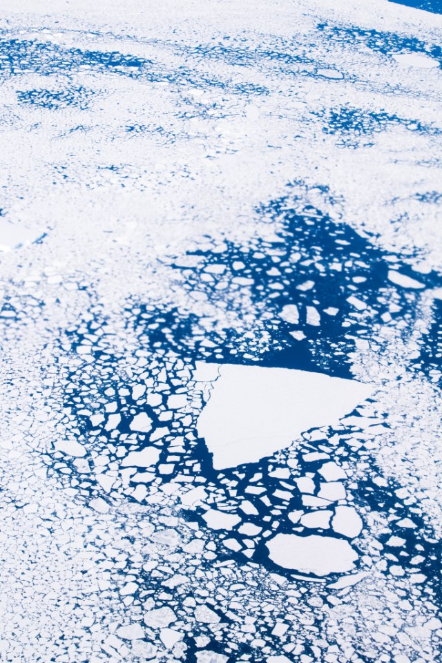 Icebergs can travel up to 100km (62miles) per day with the strong currents.